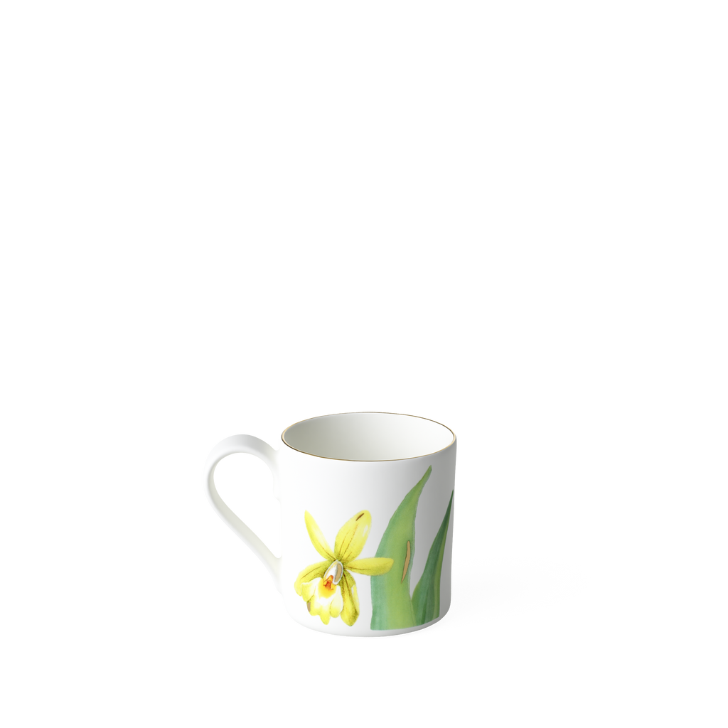 Amazonia Espresso cup