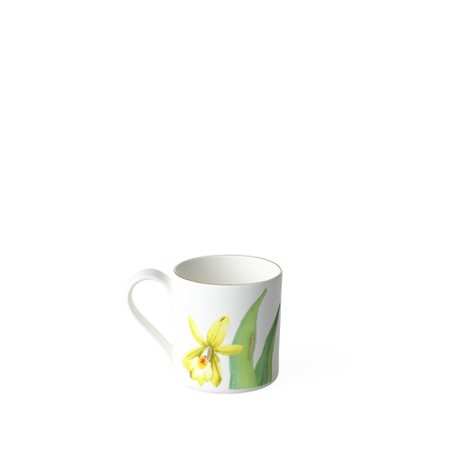 Amazonia Espresso cup