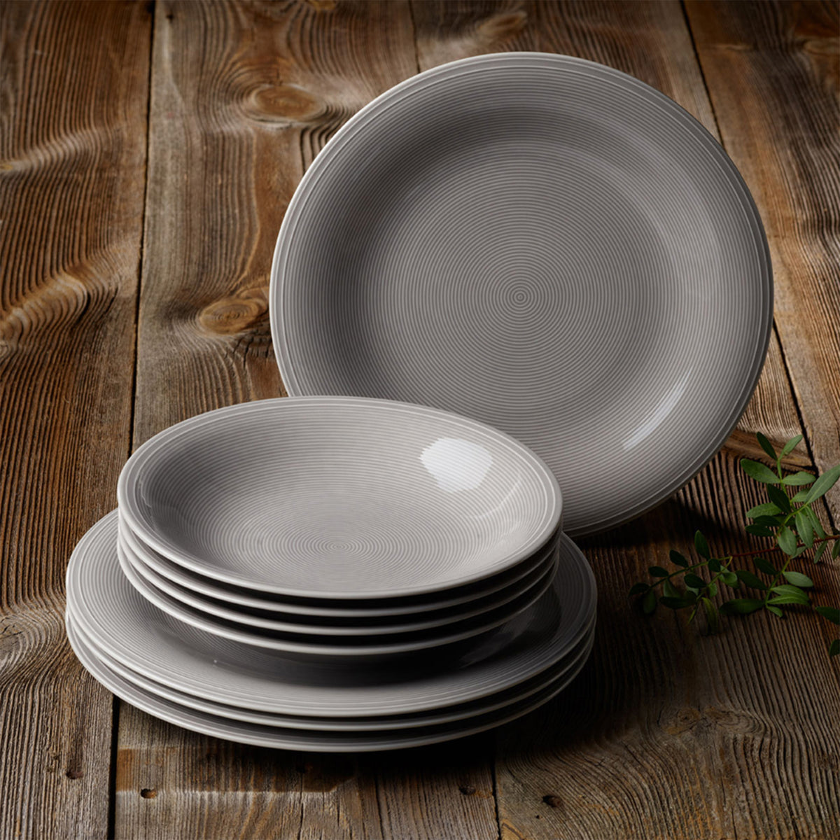 Color Loop Salad/ Dessert Plate
