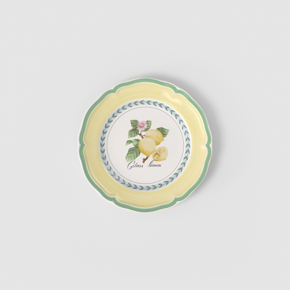French Garden Salad/ Dessert Plate