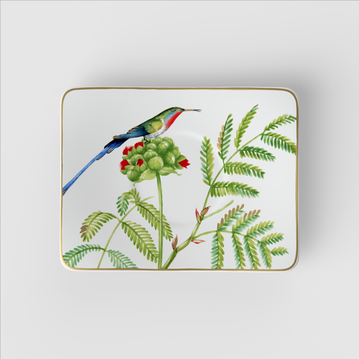 Amazonia Coffee cup saucer