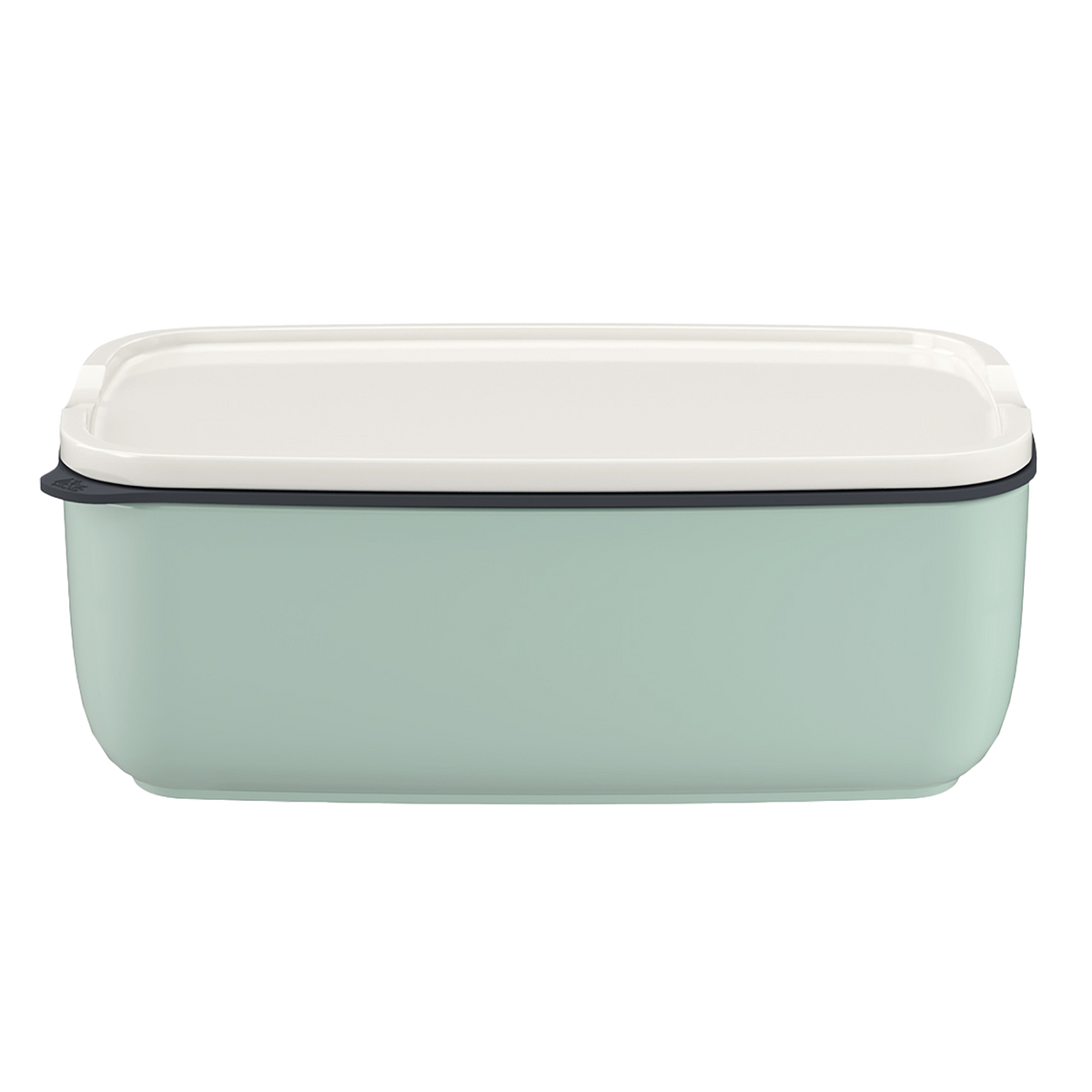 To Go To Go container