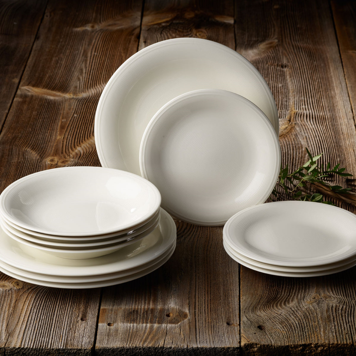 Color Loop Salad/ Dessert Plate