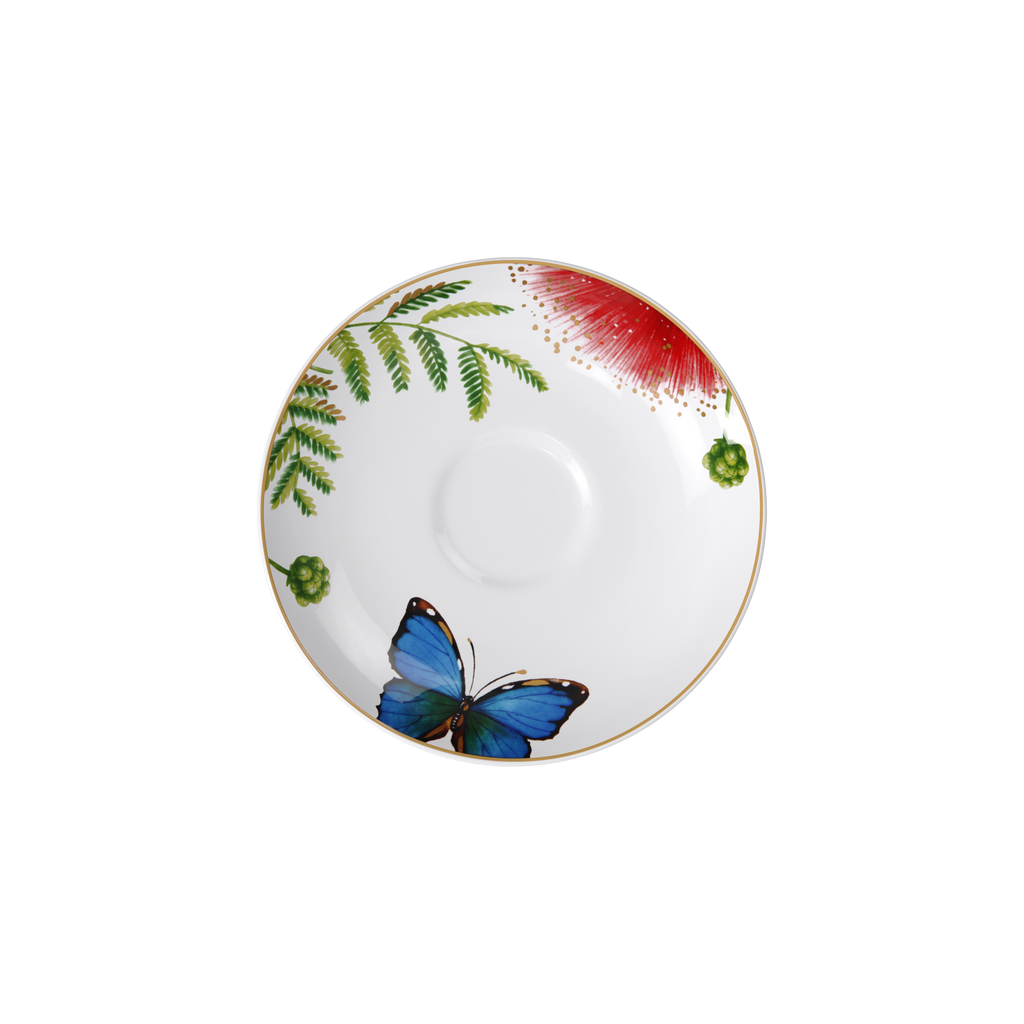 Amazonia Coffee cup saucer