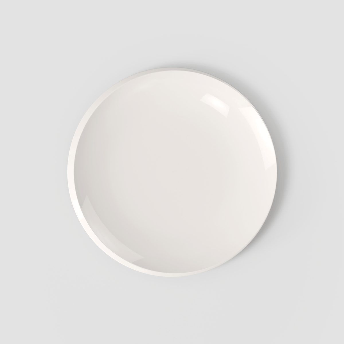 NewMoon Dinner plate