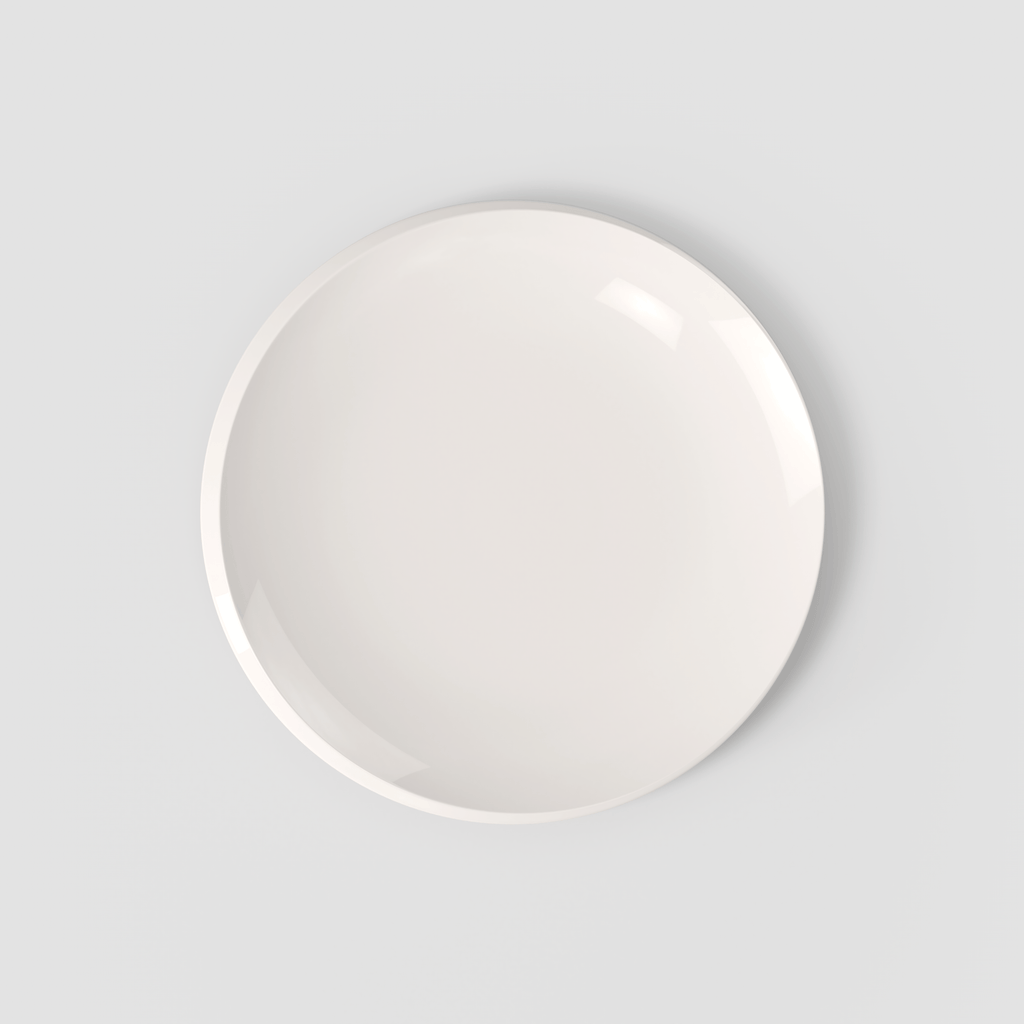 NewMoon Dinner plate